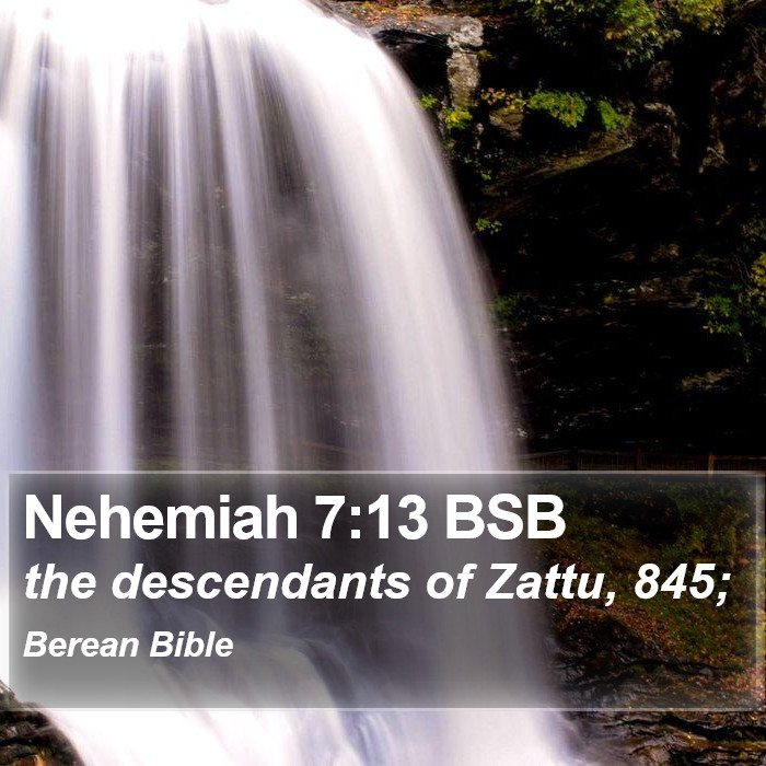 Nehemiah 7:13 BSB Bible Study