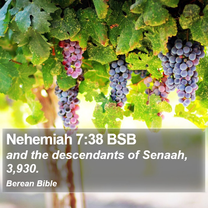 Nehemiah 7:38 BSB Bible Study