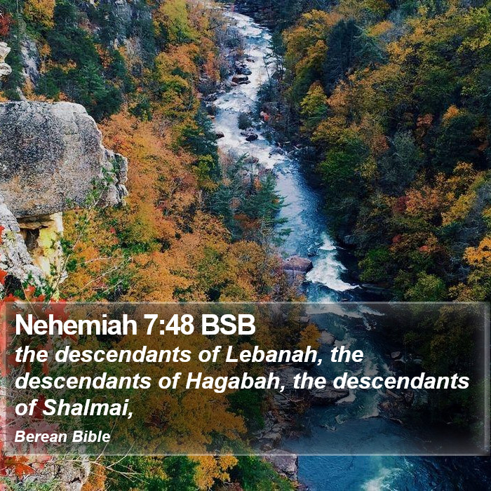 Nehemiah 7:48 BSB Bible Study