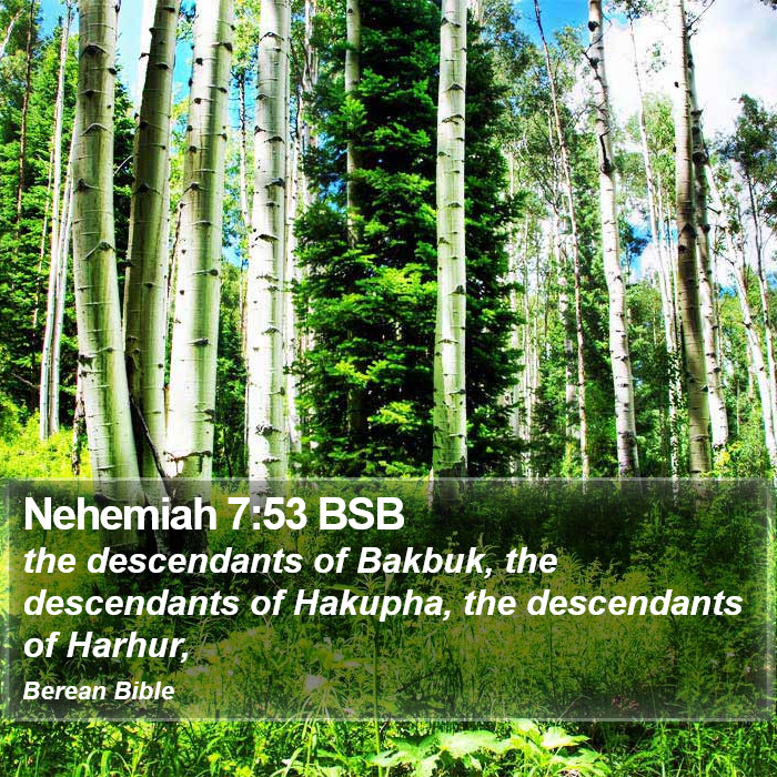 Nehemiah 7:53 BSB Bible Study