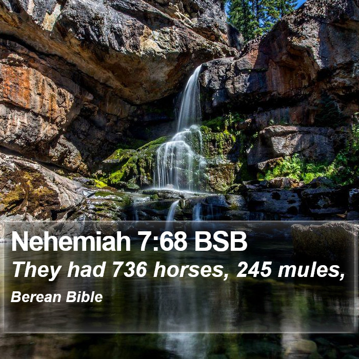 Nehemiah 7:68 BSB Bible Study