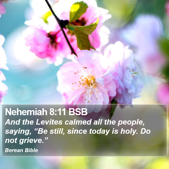 Nehemiah 8:11 BSB Bible Study