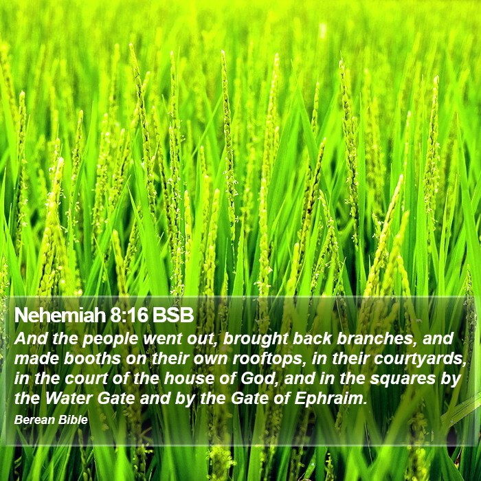 Nehemiah 8:16 BSB Bible Study