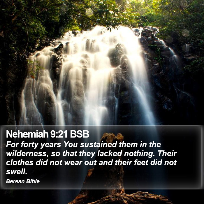 Nehemiah 9:21 BSB Bible Study