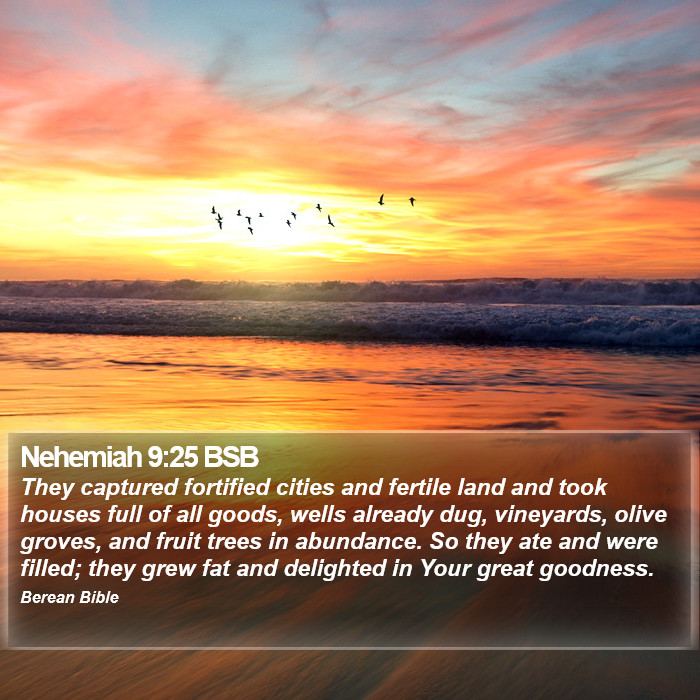 Nehemiah 9:25 BSB Bible Study