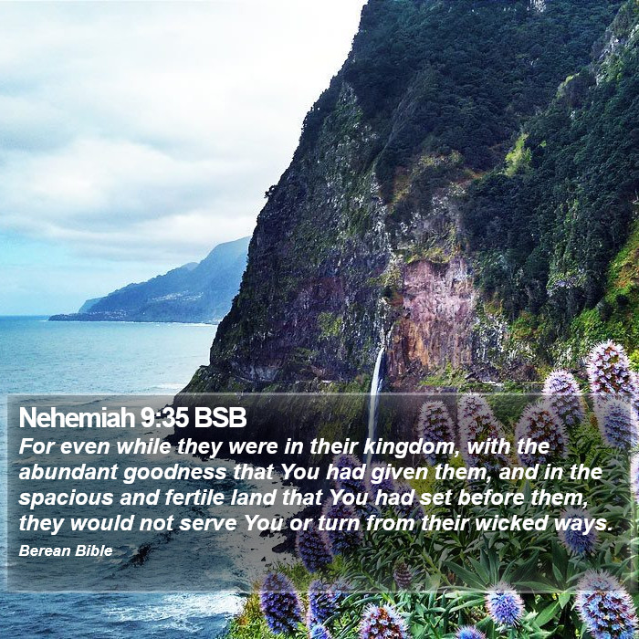 Nehemiah 9:35 BSB Bible Study