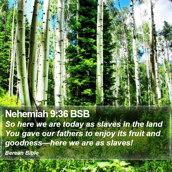 Nehemiah 9:36 BSB Bible Study