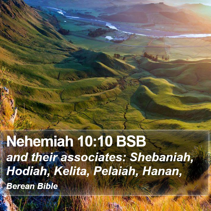 Nehemiah 10:10 BSB Bible Study