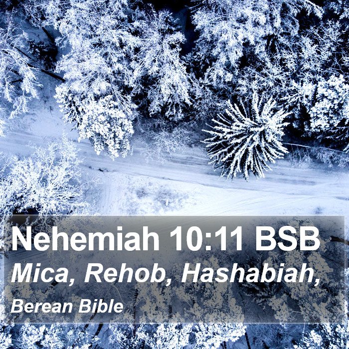 Nehemiah 10:11 BSB Bible Study