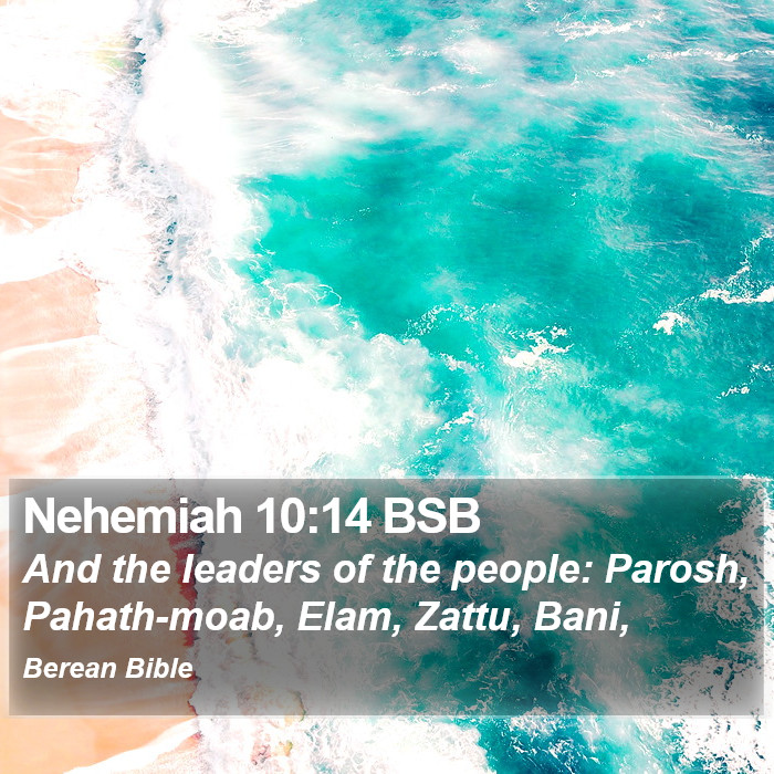 Nehemiah 10:14 BSB Bible Study