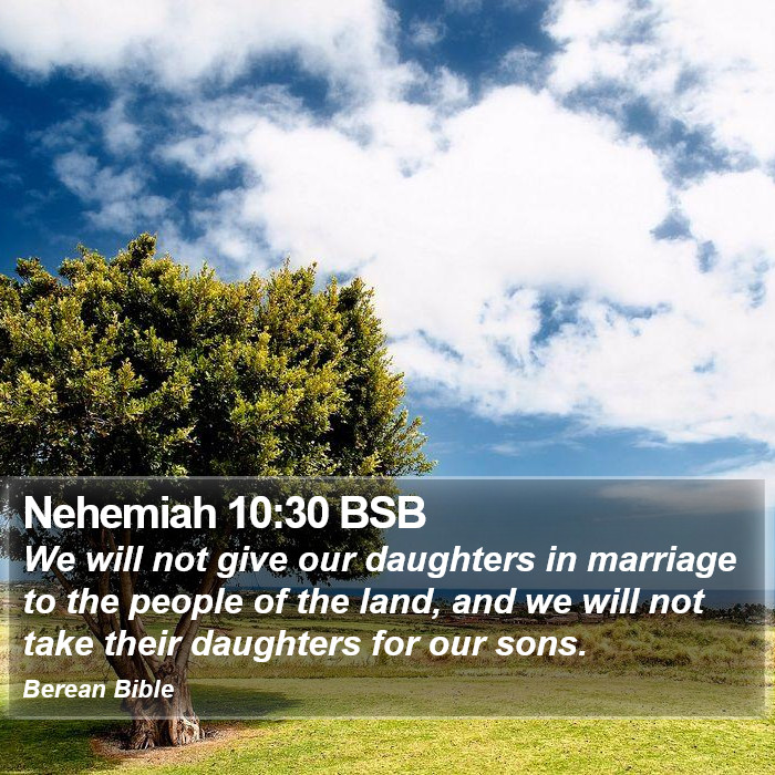 Nehemiah 10:30 BSB Bible Study