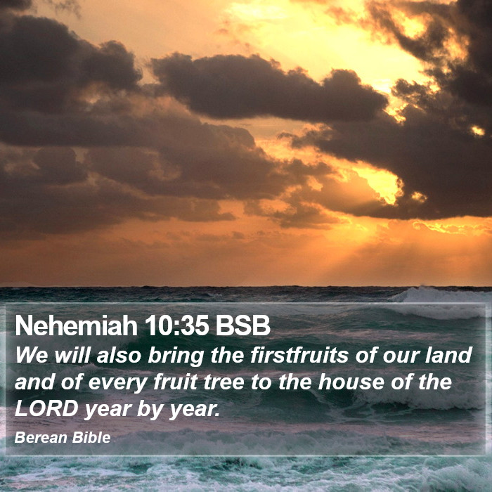 Nehemiah 10:35 BSB Bible Study