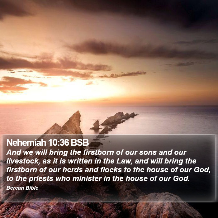 Nehemiah 10:36 BSB Bible Study