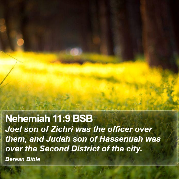 Nehemiah 11:9 BSB Bible Study