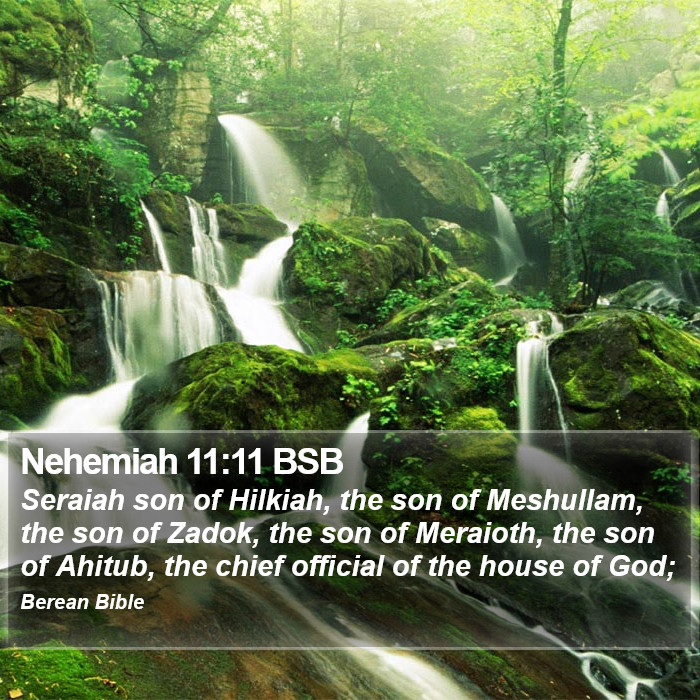 Nehemiah 11:11 BSB Bible Study