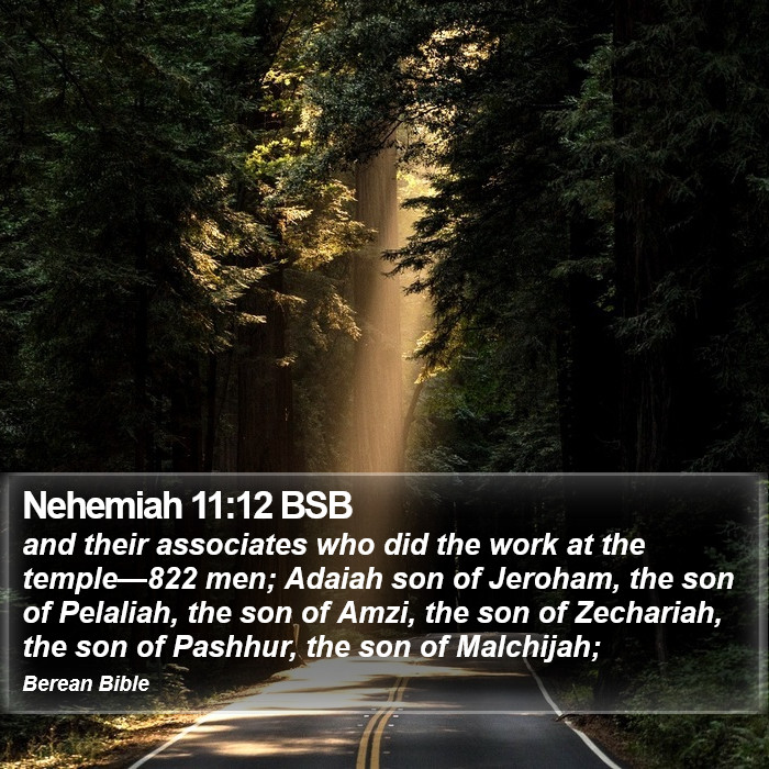 Nehemiah 11:12 BSB Bible Study