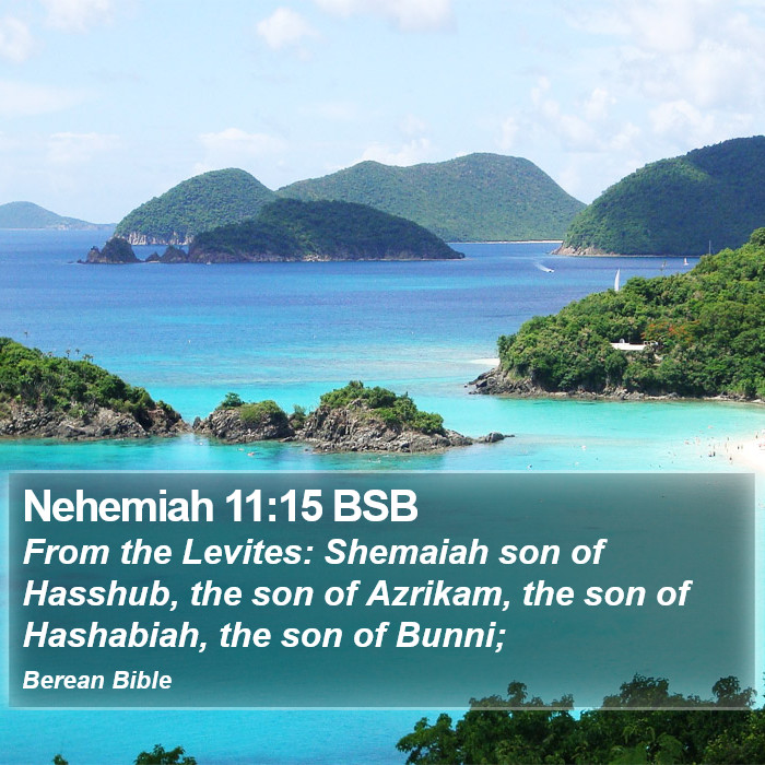 Nehemiah 11:15 BSB Bible Study