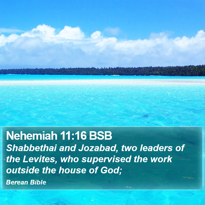 Nehemiah 11:16 BSB Bible Study