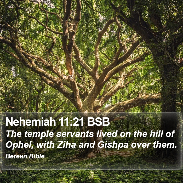 Nehemiah 11:21 BSB Bible Study