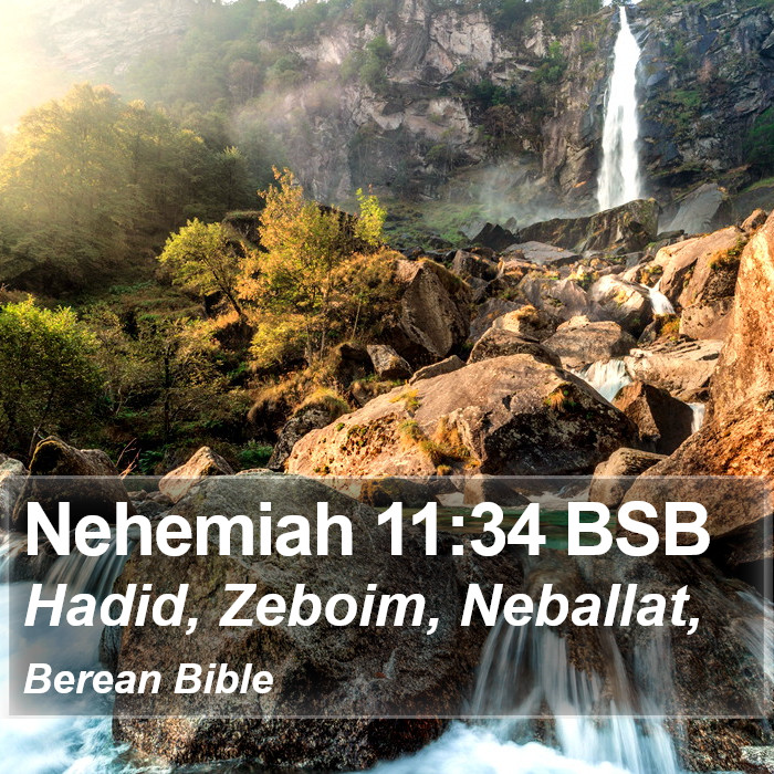 Nehemiah 11:34 BSB Bible Study