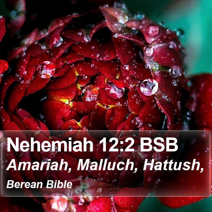 Nehemiah 12:2 BSB Bible Study