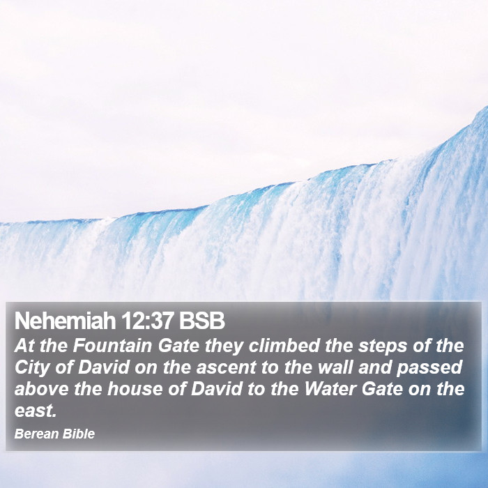 Nehemiah 12:37 BSB Bible Study