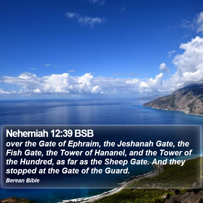 Nehemiah 12:39 BSB Bible Study