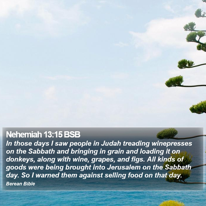 Nehemiah 13:15 BSB Bible Study