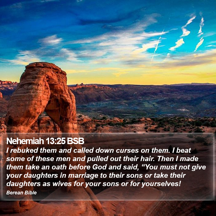 Nehemiah 13:25 BSB Bible Study