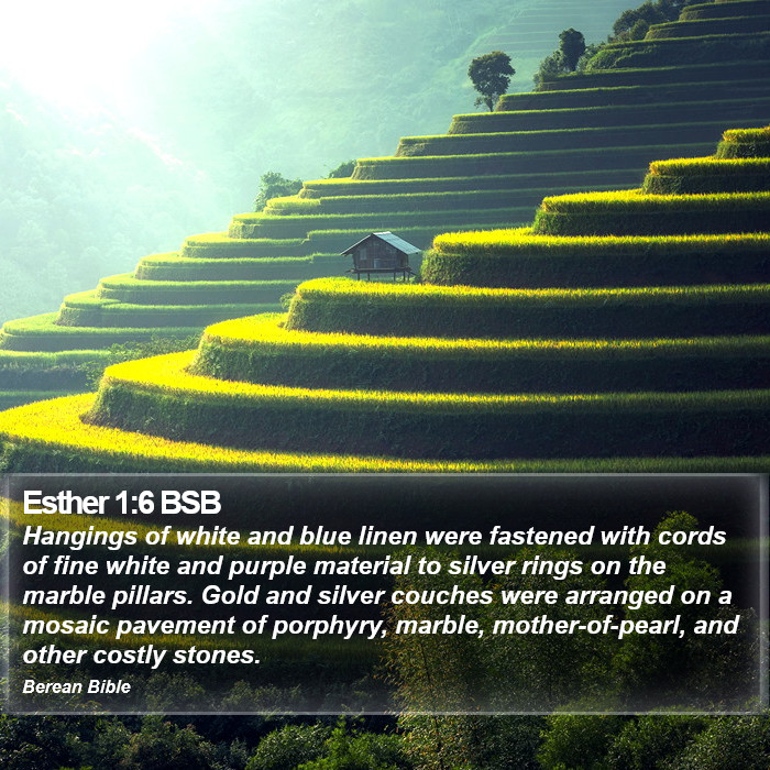 Esther 1:6 BSB Bible Study