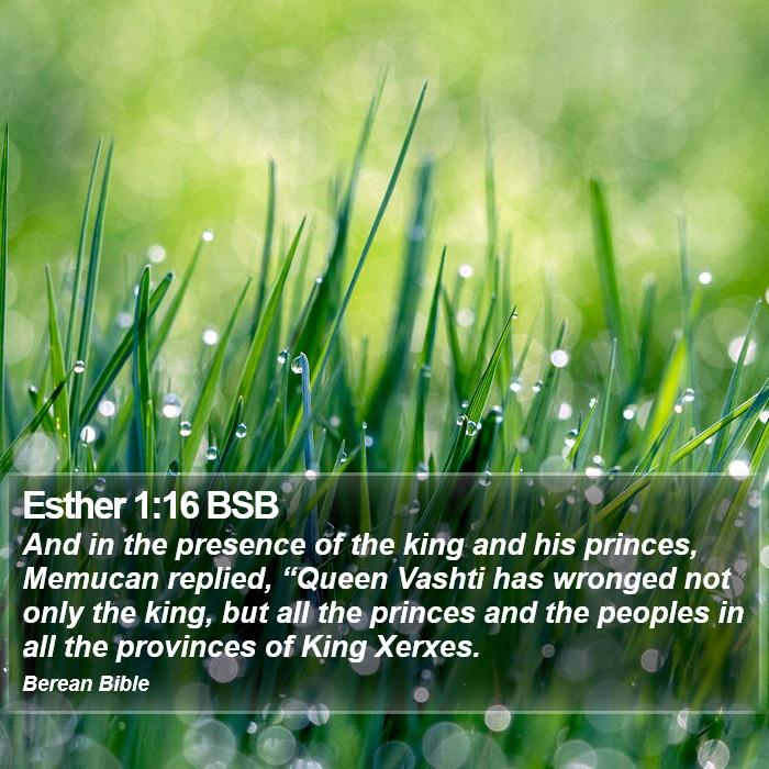 Esther 1:16 BSB Bible Study