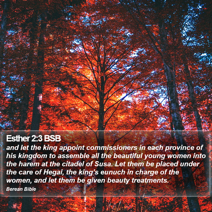 Esther 2:3 BSB Bible Study