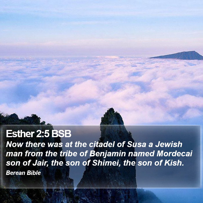 Esther 2:5 BSB Bible Study