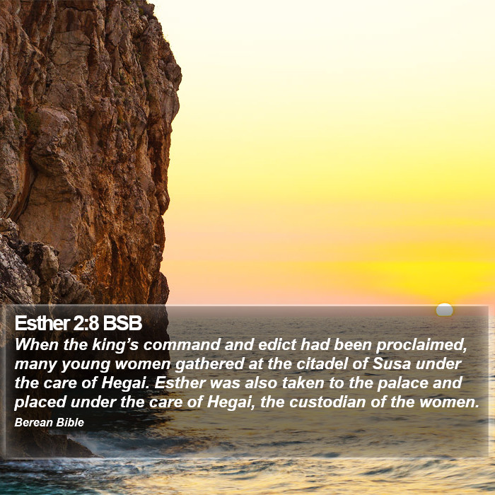 Esther 2:8 BSB Bible Study