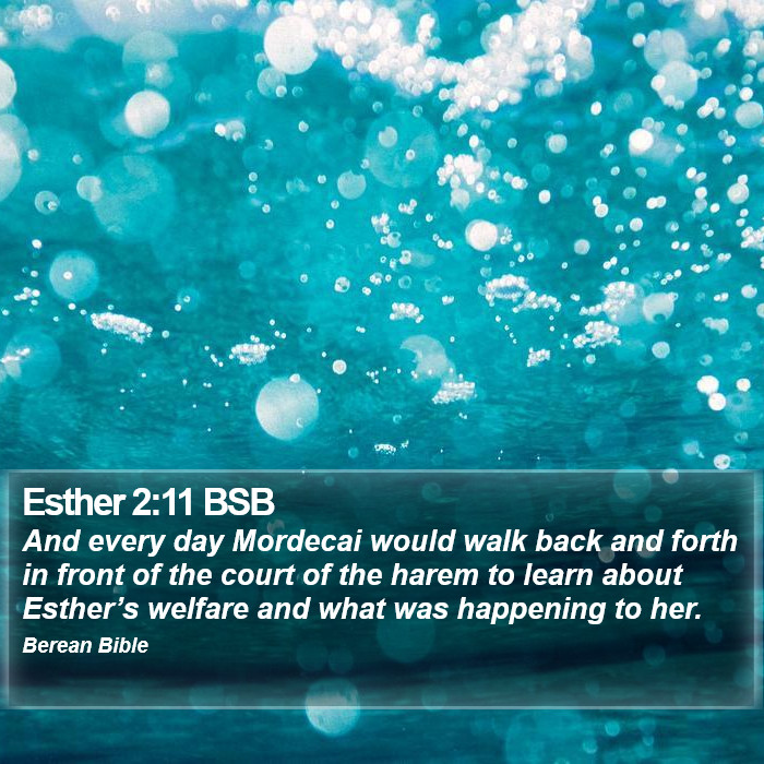 Esther 2:11 BSB Bible Study