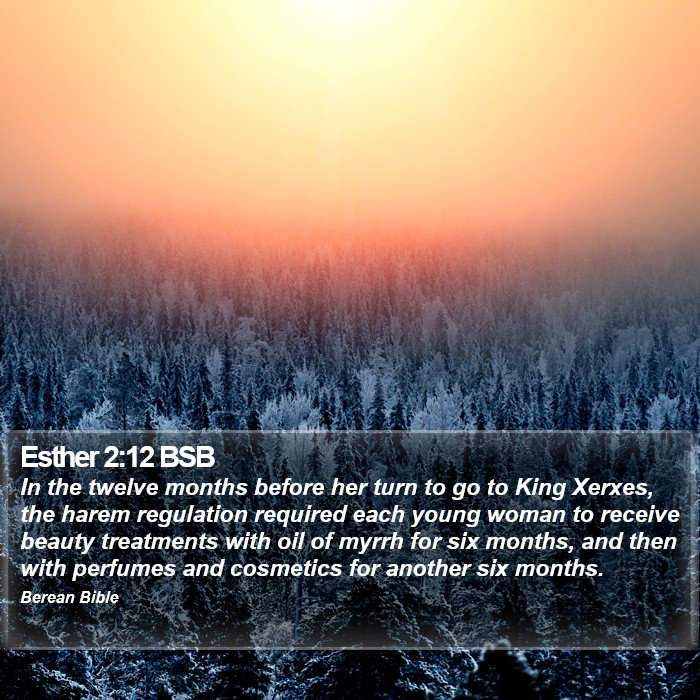 Esther 2:12 BSB Bible Study