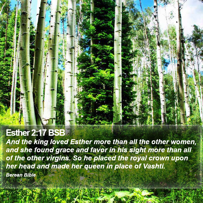 Esther 2:17 BSB Bible Study