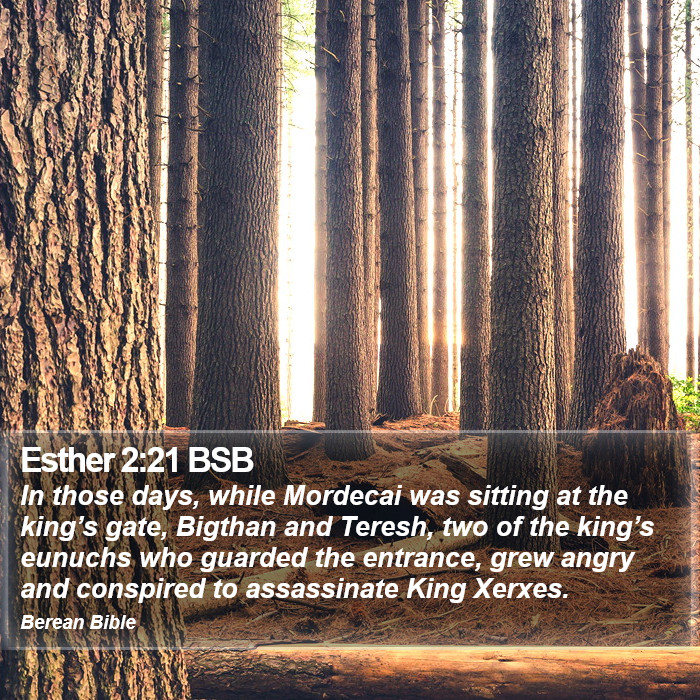 Esther 2:21 BSB Bible Study