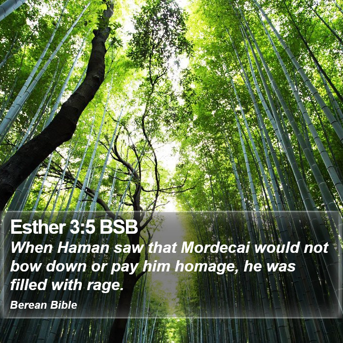 Esther 3:5 BSB Bible Study