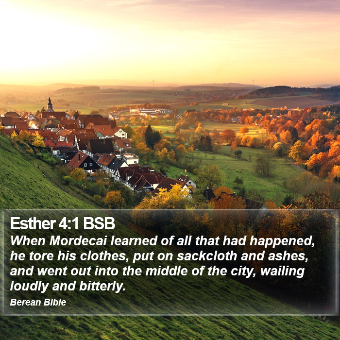 Esther 4:1 BSB Bible Study