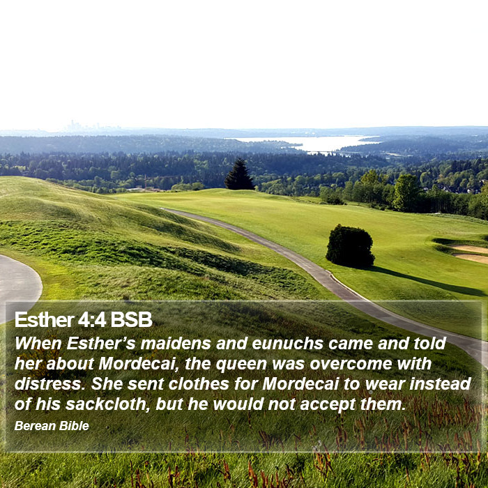 Esther 4:4 BSB Bible Study