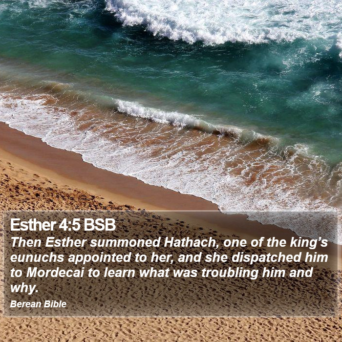 Esther 4:5 BSB Bible Study