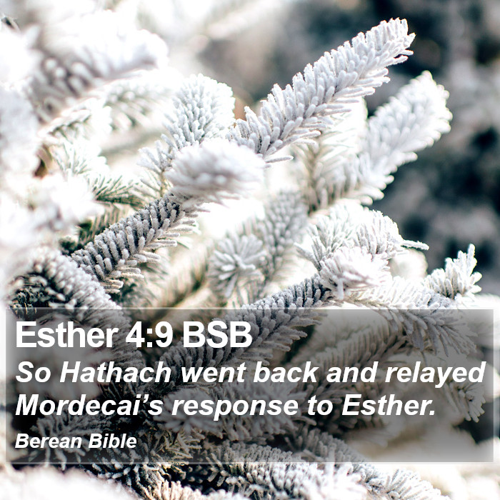 Esther 4:9 BSB Bible Study