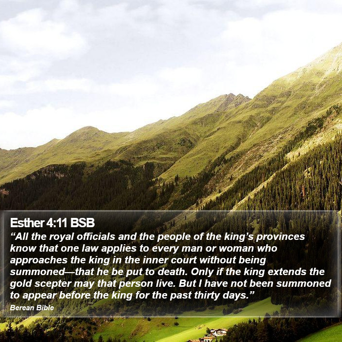 Esther 4:11 BSB Bible Study