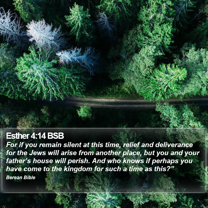 Esther 4:14 BSB Bible Study