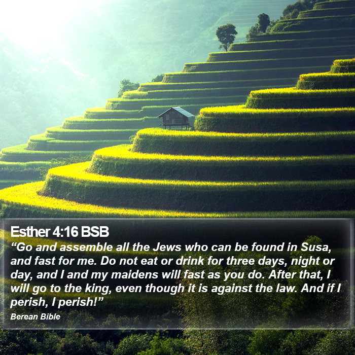 Esther 4:16 BSB Bible Study