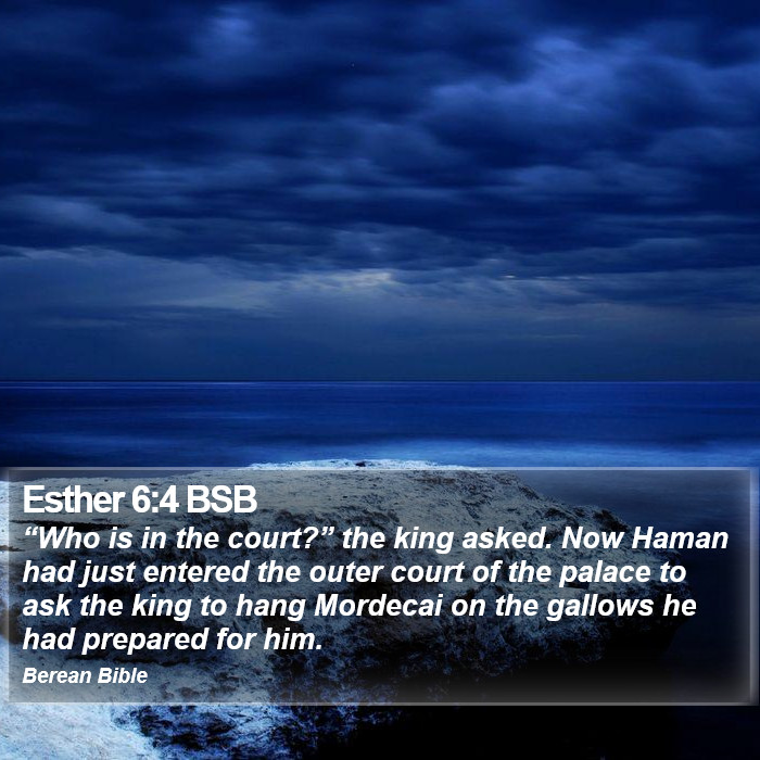 Esther 6:4 BSB Bible Study