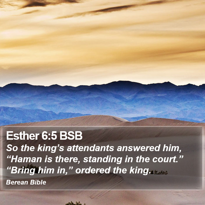 Esther 6:5 BSB Bible Study