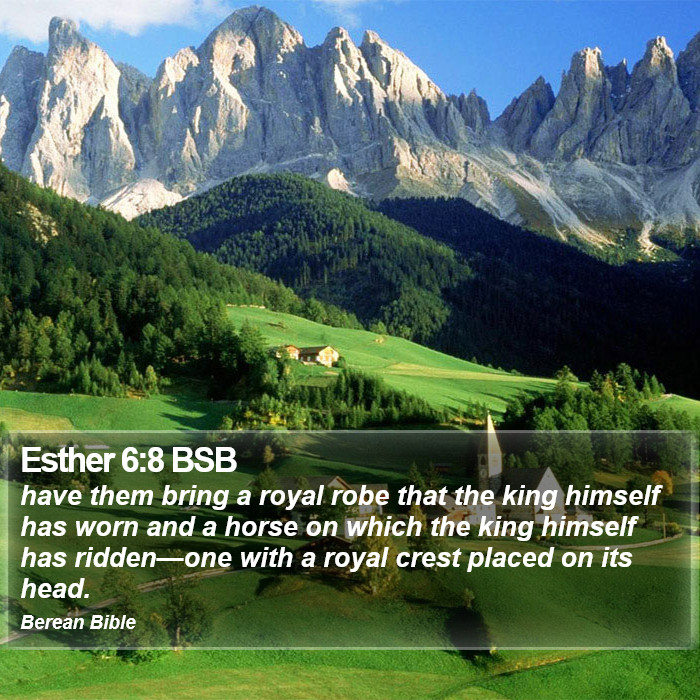 Esther 6:8 BSB Bible Study