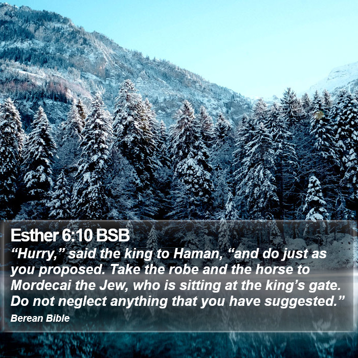 Esther 6:10 BSB Bible Study